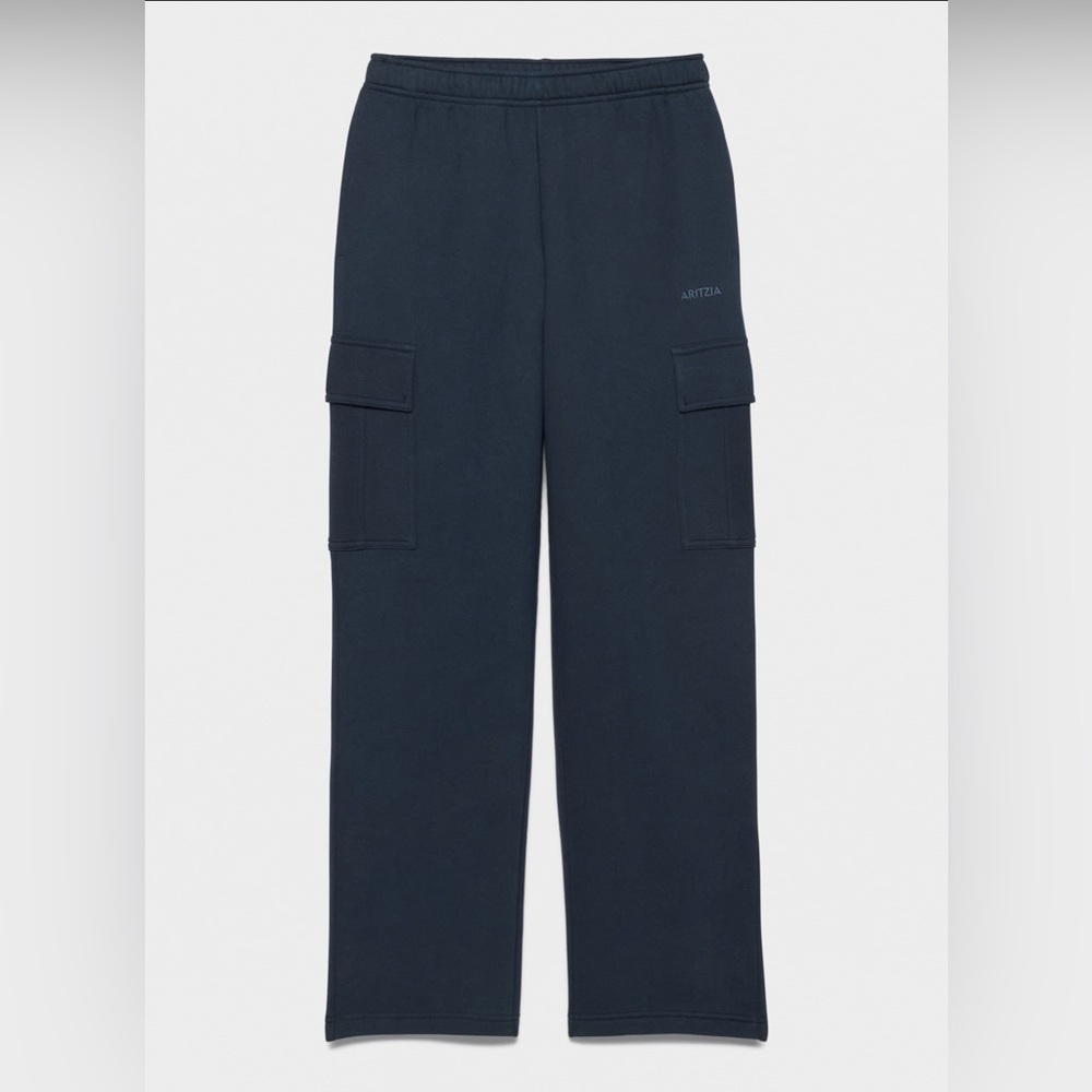 ARITZIA Cozy Fleece Mega Cargo Sweatpant
Color: ADMIRAL (navy)
Size: Small, Tall